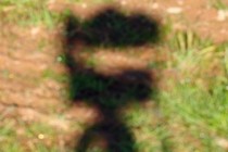 260850-210x140