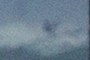 Surfing in the distance