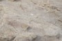 Explore a hand sample of the Antietam Formation