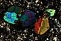 Zoned and Twinned Amphibole