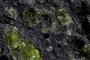 Olivine phenocrysts
