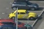 Slug Bug