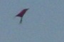Kite