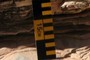 Scale