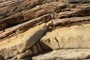 Small fault and overlying