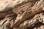 Another nice little fault