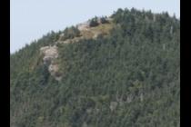 27994-210x140