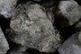 Lithic clast