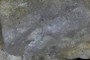 Lint