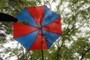 Umbrella