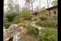 Japanese garden