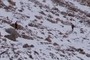 Hikers