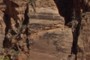 Angel's Landing Trail