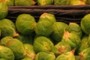 Brussel Sprout