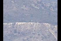 27893-210x140