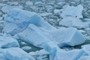 Ice Berg Detail