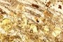 2) Staurolite