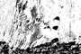 Capitan Reef Caves