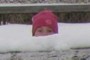 A rare pink-hatted Magoozle!